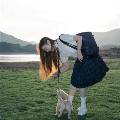 百合绽放